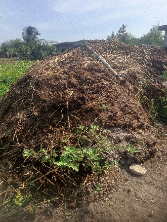 ખાતર દેશી સાડીઓ પિયર