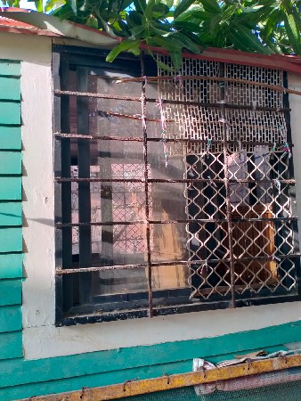 કેબિન વેચવાની છે.