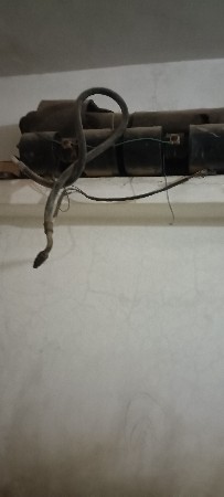 એસી બસનુ