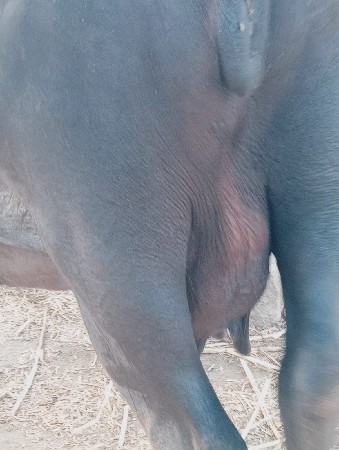 10 કાસી 3વેતર