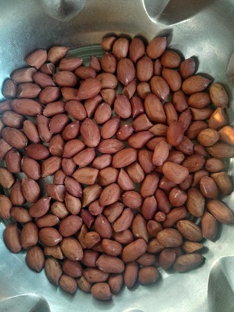 મગફળી  બિયારણ  વેચવાનું છે