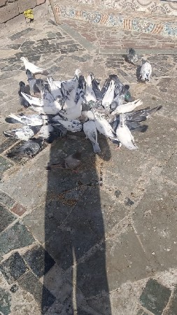વેસવાનાસે