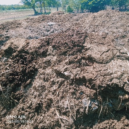 ભેંસ નું દેશી છાણીયું ખાતર
