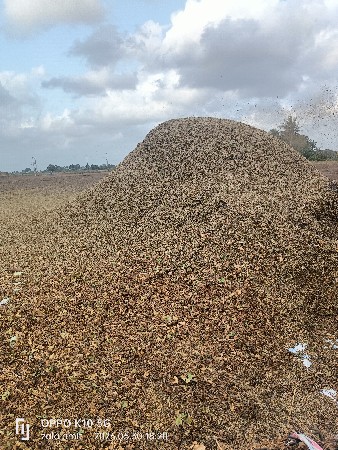 અડદ નો ભૂકો