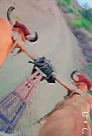 અઢોરીગયા