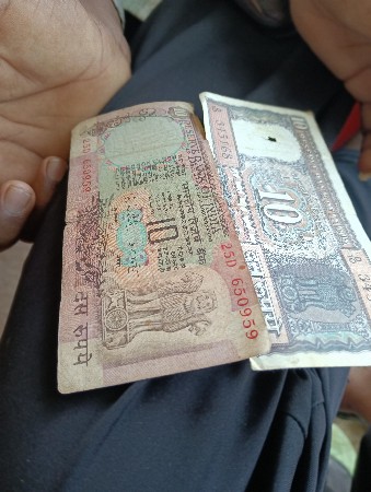 ખડેલા અથવા પાડા લેવાના છે