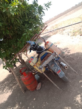 સાઈન
