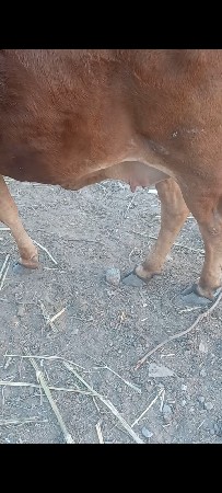 ઓળખી વેચવાની છે