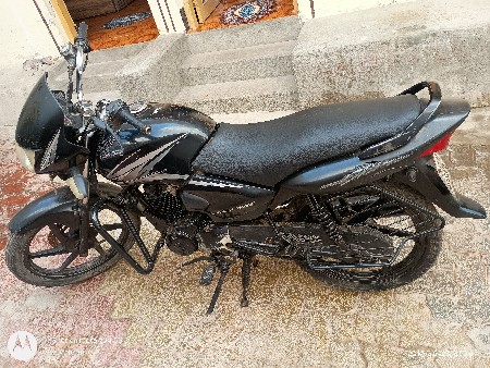 Shine 2011 model