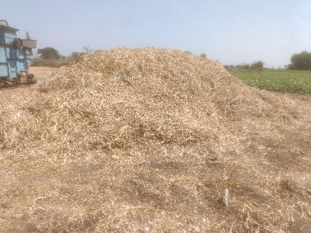 લસણ ના લોદર વેચવાના છે