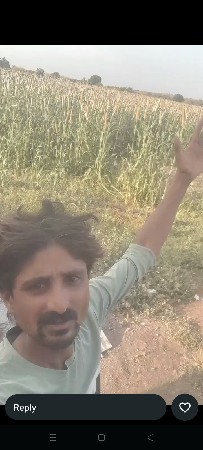 5.વીઘા.છે