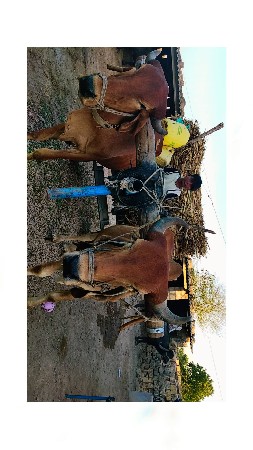 વેચવાના છે