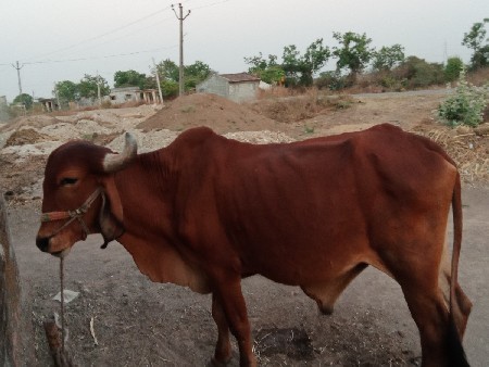 મોં 9909422152