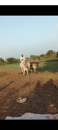 ₹25,000 કિંમત છે દેવાંગણી આપેલા છે