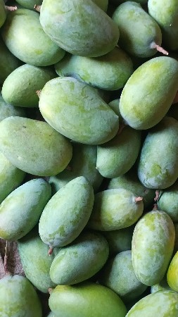 કેસર કેરી