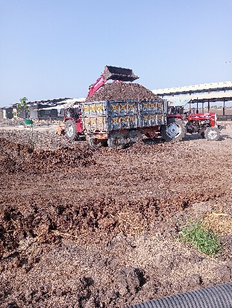 છાણીયું ખાતર ના ફેરા માટે મડો