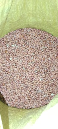 ૫૪ નંબર માંડવો