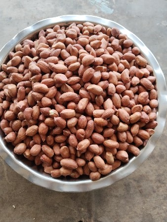 જીવીશ મગફળીનું બિયારણ વેચવાનું છે