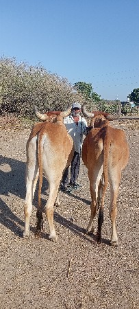 બડધવેસવાનાશે