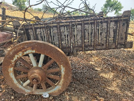 બળદ ગાડી વેચવાની છે