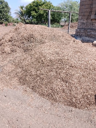 માંડવીયુ