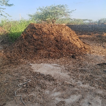 ખાતરવૈચવાની