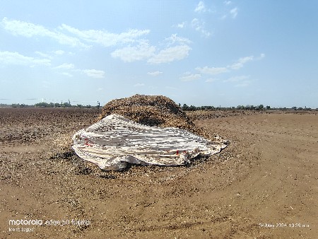 મગફળી નો ભુકો