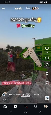 મગ નો પાલો
