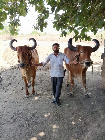 4thi dhar