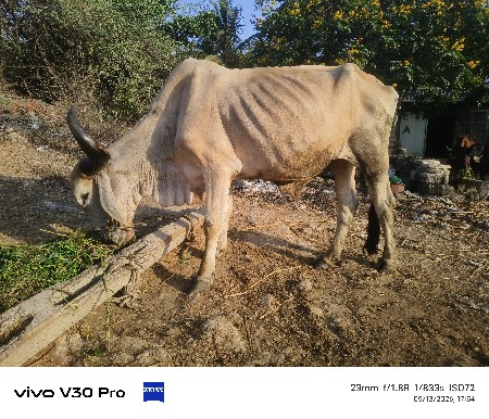 9574462448 આ નંબર માં પોહોન કરો