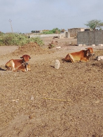 દેવભૂમિ દ્વારકા જિલ્લો તાલુકો