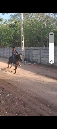 59હાઇટ
