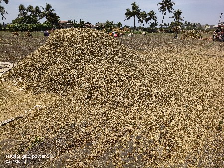 અળદ નો ભુકો વેચવાનો છે