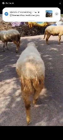 ડેટા વેચવાના છે