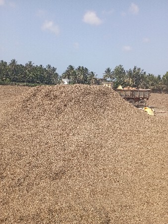 અડદ નો ચારો વેચવાનો છે