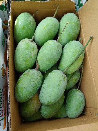 kesar keri devani che
