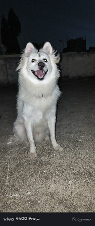 1 વર્ષ