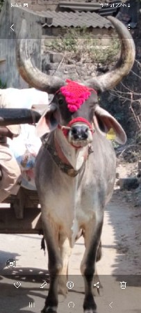 કશ45000