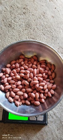 ગિરનાર 4 નું બી વેશવાનું છે