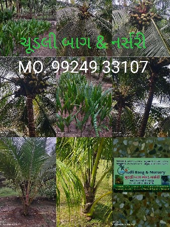 વેચવાના છે