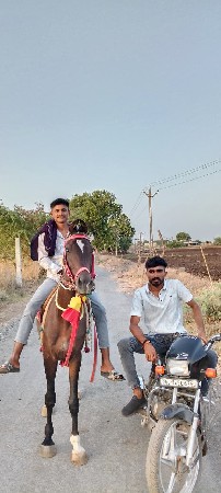 4 વરસનો છે