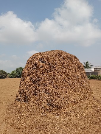 માંડવીયુ વેંચવાનુ છે