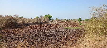જમીન વેચવાની છે