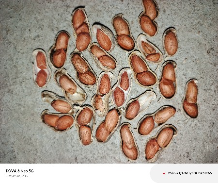 જી ૨૦ માંડવી