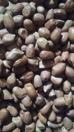 જી૨૦ મગફળીનુ બી વેચવાનું છે