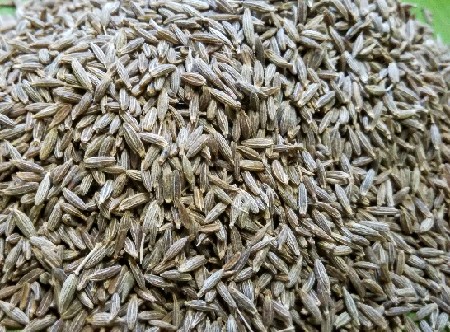જીરૂ વેચવાનું છે