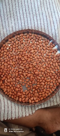 8 મણ માંડવી નું બિયારણ છે