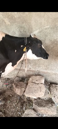 ગળકોટડી બાબરા અમરેલી