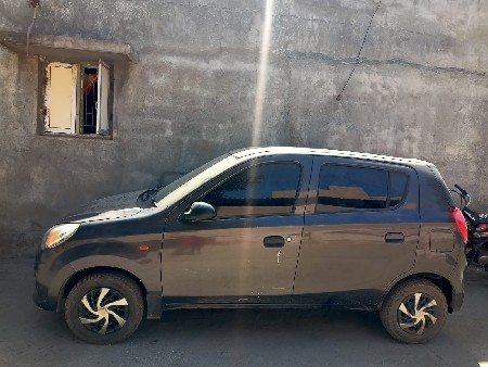 alto 800