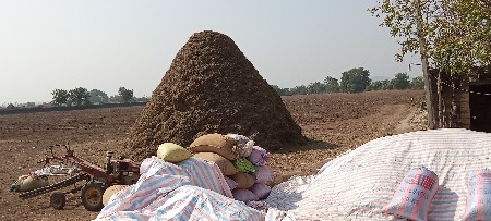 ૧૭ વિઘા નો  ભૂકો વેચવાનો છે.